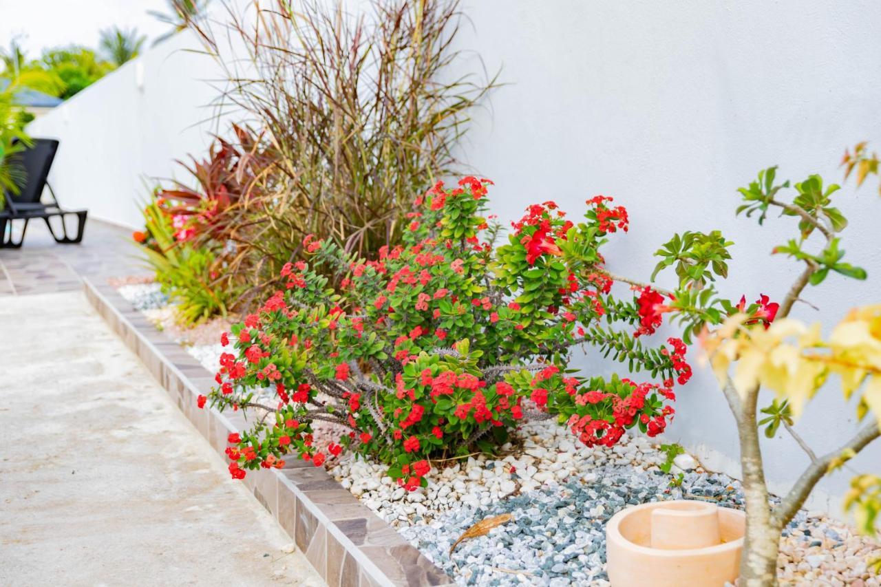 Richeplaine Promo ! Les Paisibles Villas C & G מראה חיצוני תמונה